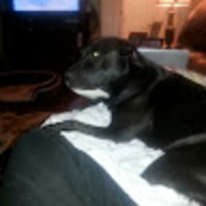 Meet your Posher, Melanie